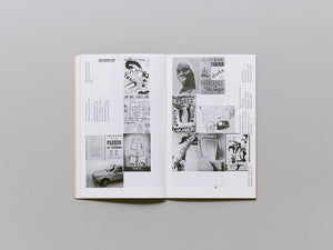 145.1 Modes of Criticism 3- Design and Democracy