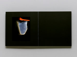 A Certain Collector B