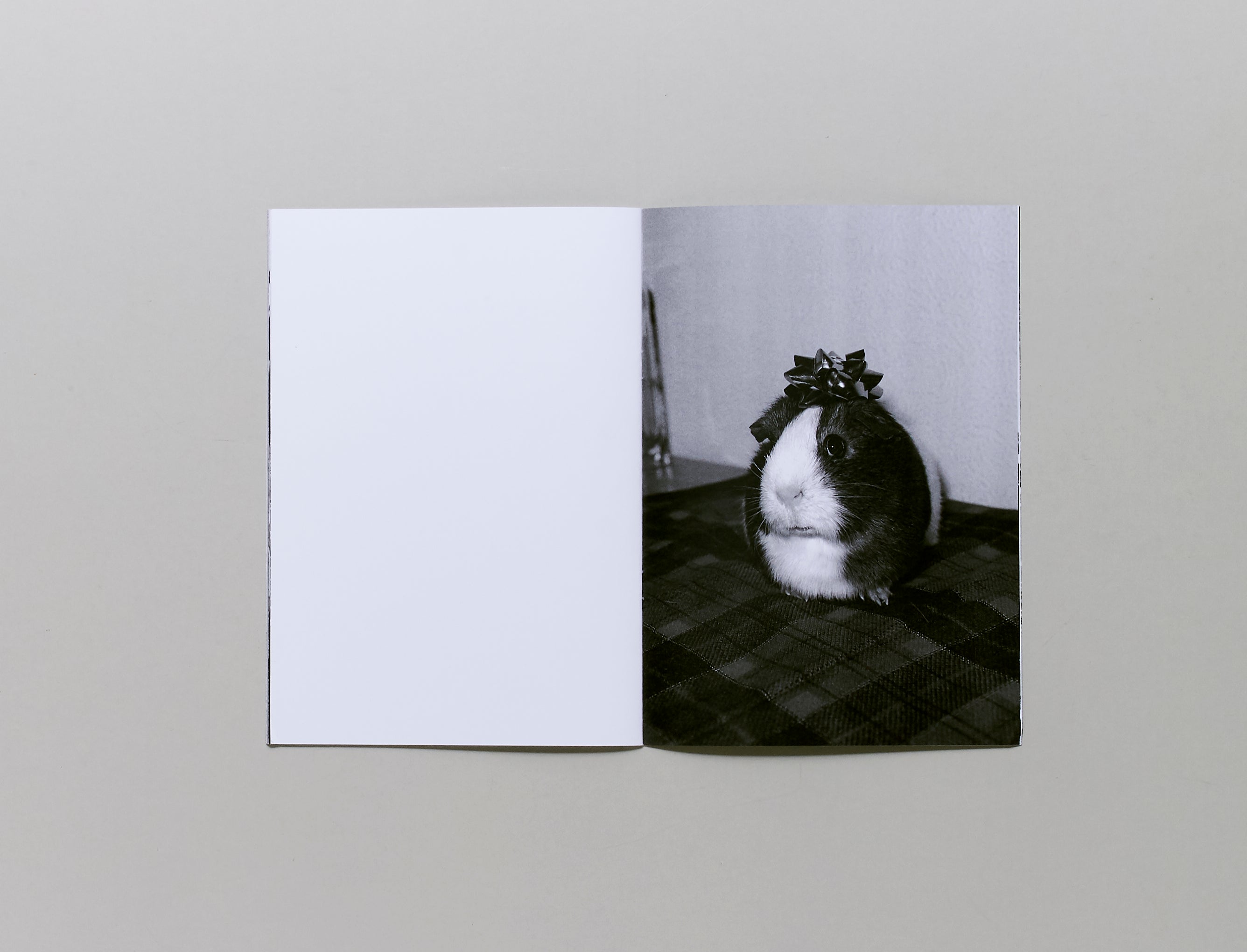 本 Randy Tischler zine Perfect Decisions