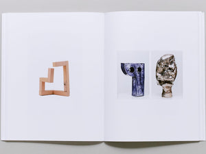 Flies on Milk, Green Eggs & Ham - Antenne Books