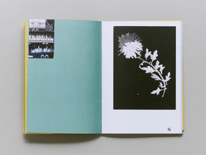 Alien Invader Super Baby (Synchromaterialism IV)