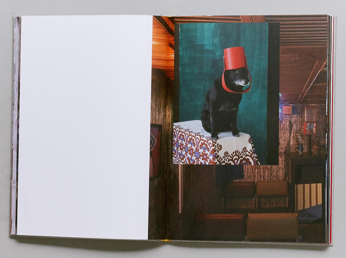 The Great Cape Rinderhorn - Antenne Books