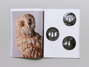 The Perfect Document - Antenne Books