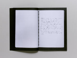 Little Blues Booklet