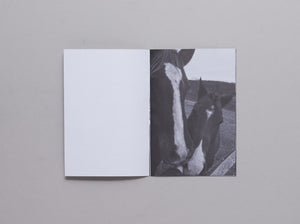 Just Walking; Not Talking