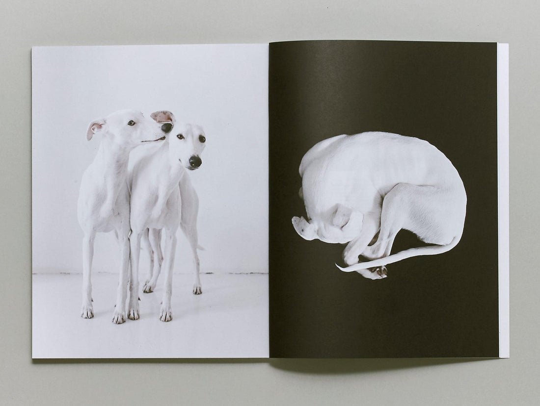 Four&Sons Issue 9 - Antenne Books