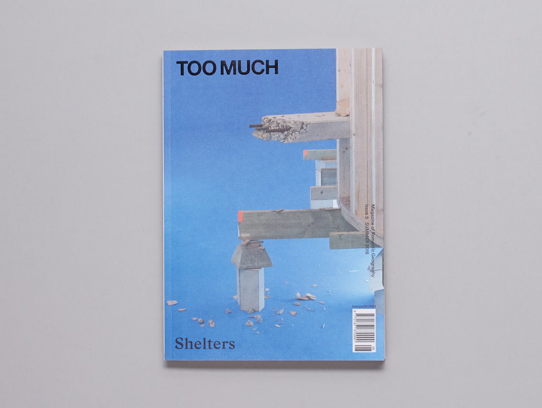 Too Much, Issue 8