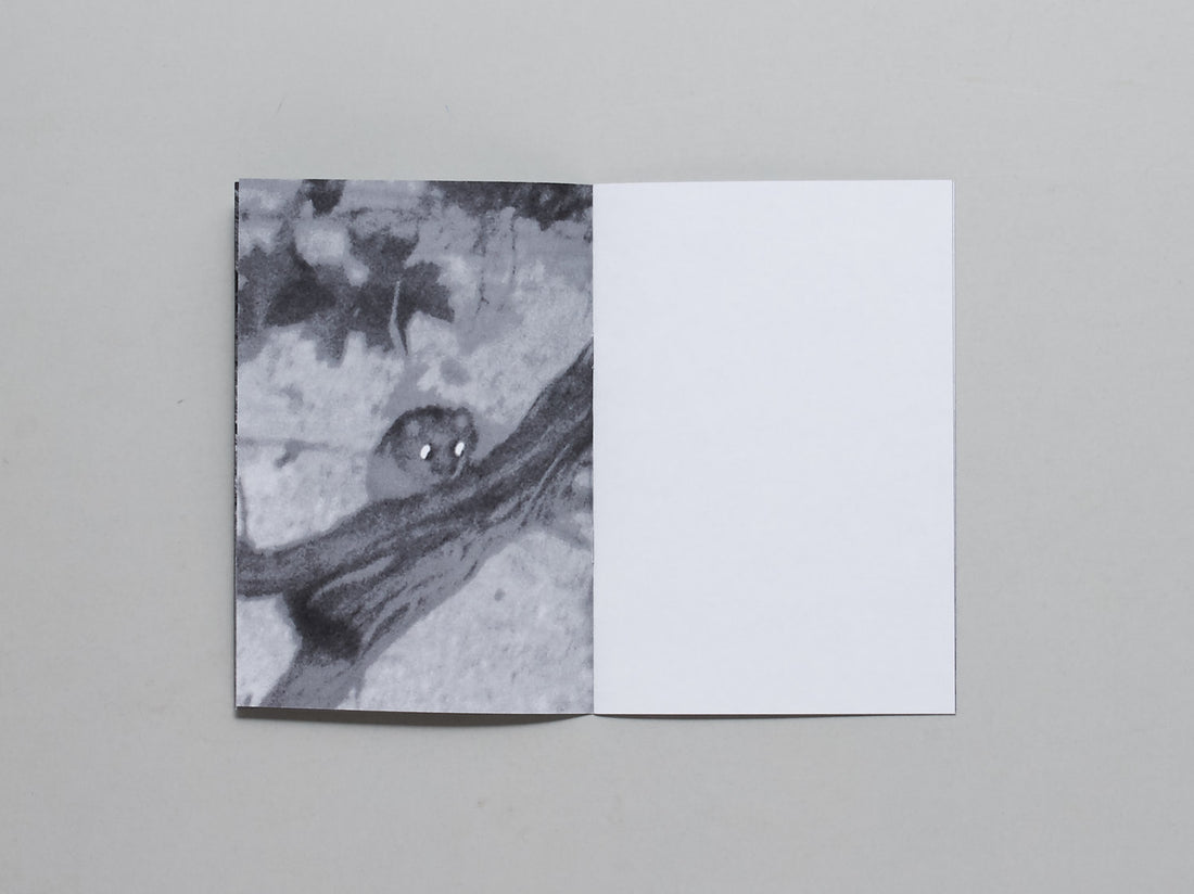 L’air, les songes, les abysses