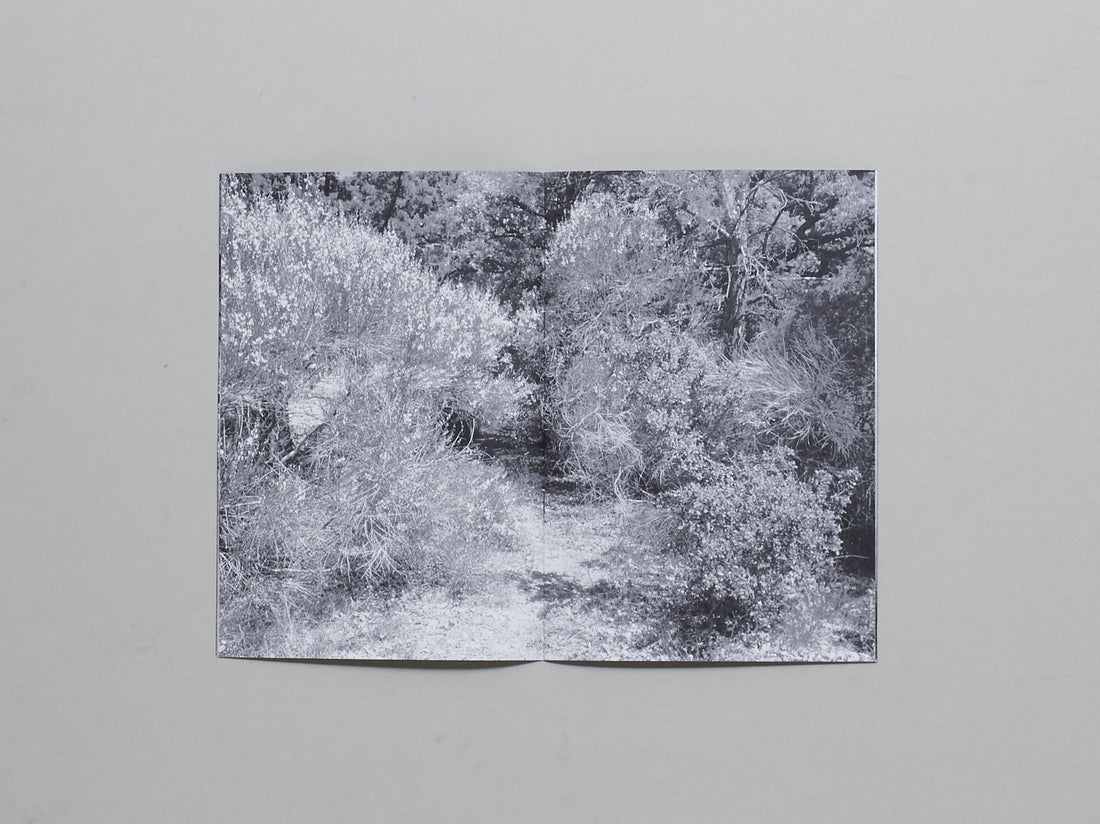 L’air, les songes, les abysses