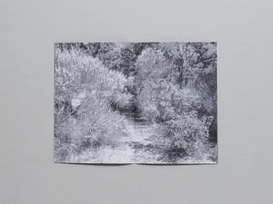 L’air, les songes, les abysses