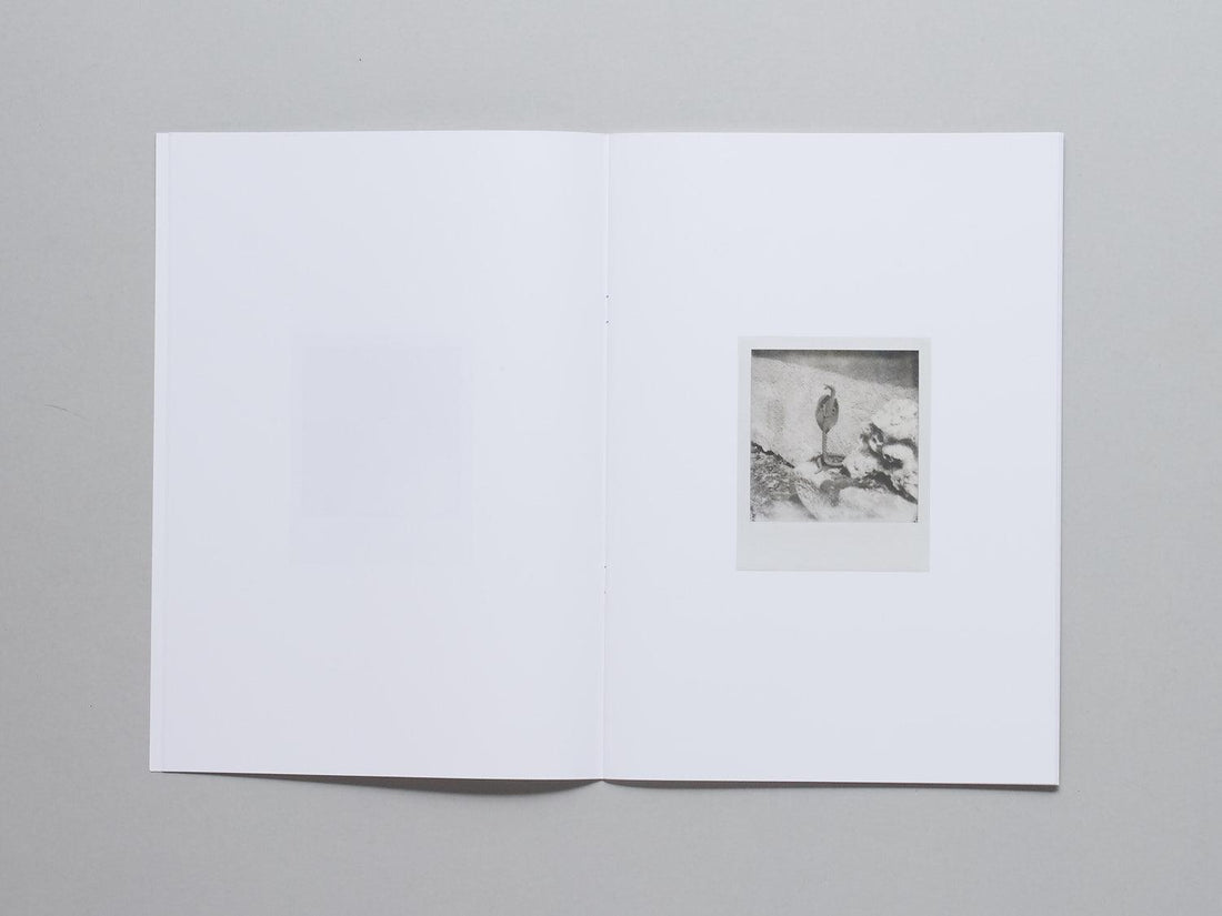 Les rendez-vous de l’écluse - Antenne Books