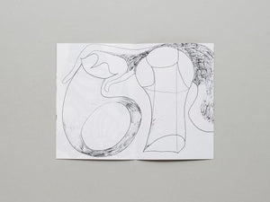 When a heavy black cloud of mosquitos sucks all of the blood out of you - Antenne Books