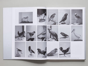 Etwas fehlt - Antenne Books