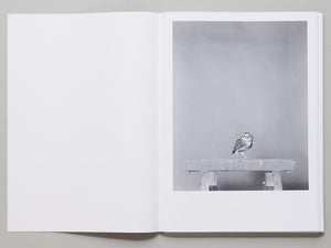 Parliament of Owls - Antenne Books