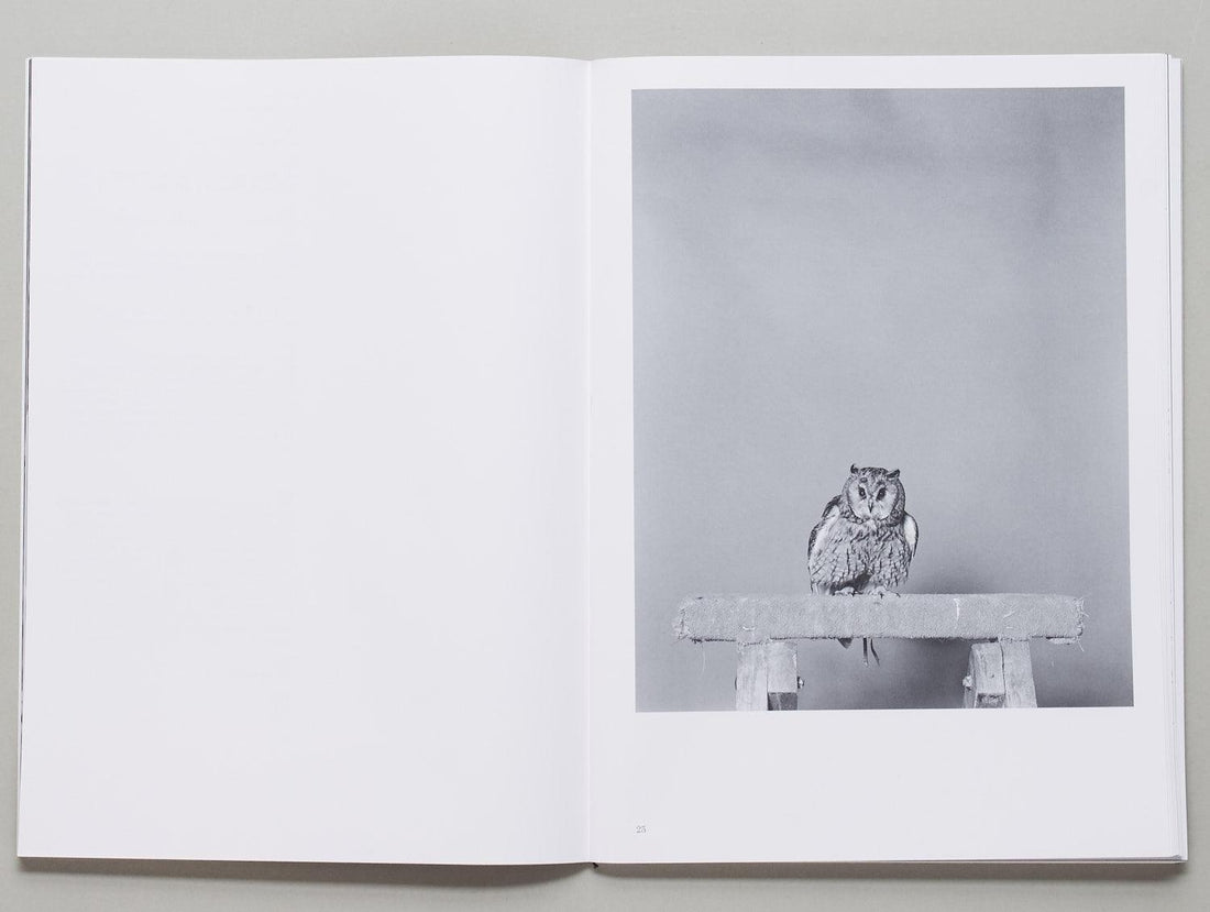 Parliament of Owls - Antenne Books