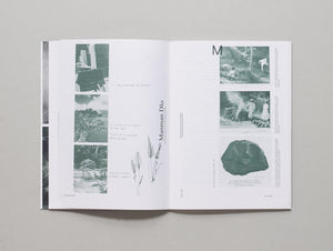 Field Essays - “Éloj Kréyol” - Antenne Books