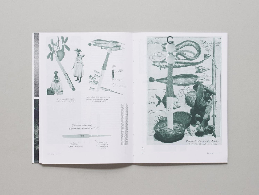 Field Essays - “Éloj Kréyol” - Antenne Books