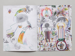 This Bird Know Rabit