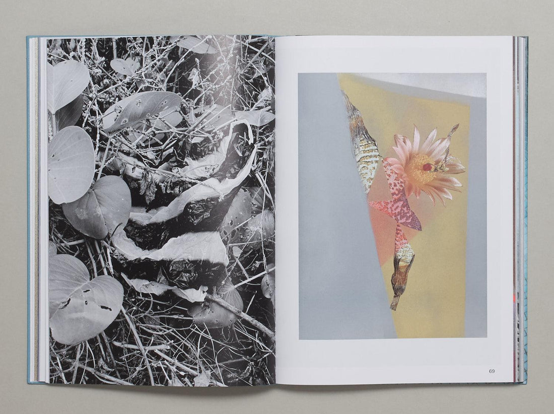 Widersprüchliche Bewegungsreize - Antenne Books