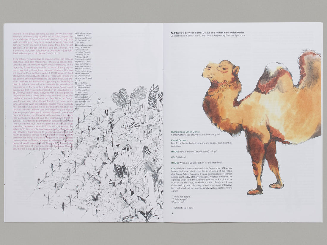 Bestiary of Corona Animals