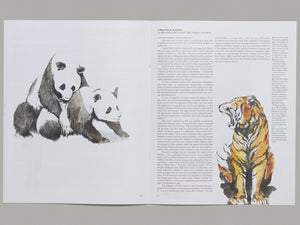 Bestiary of Corona Animals