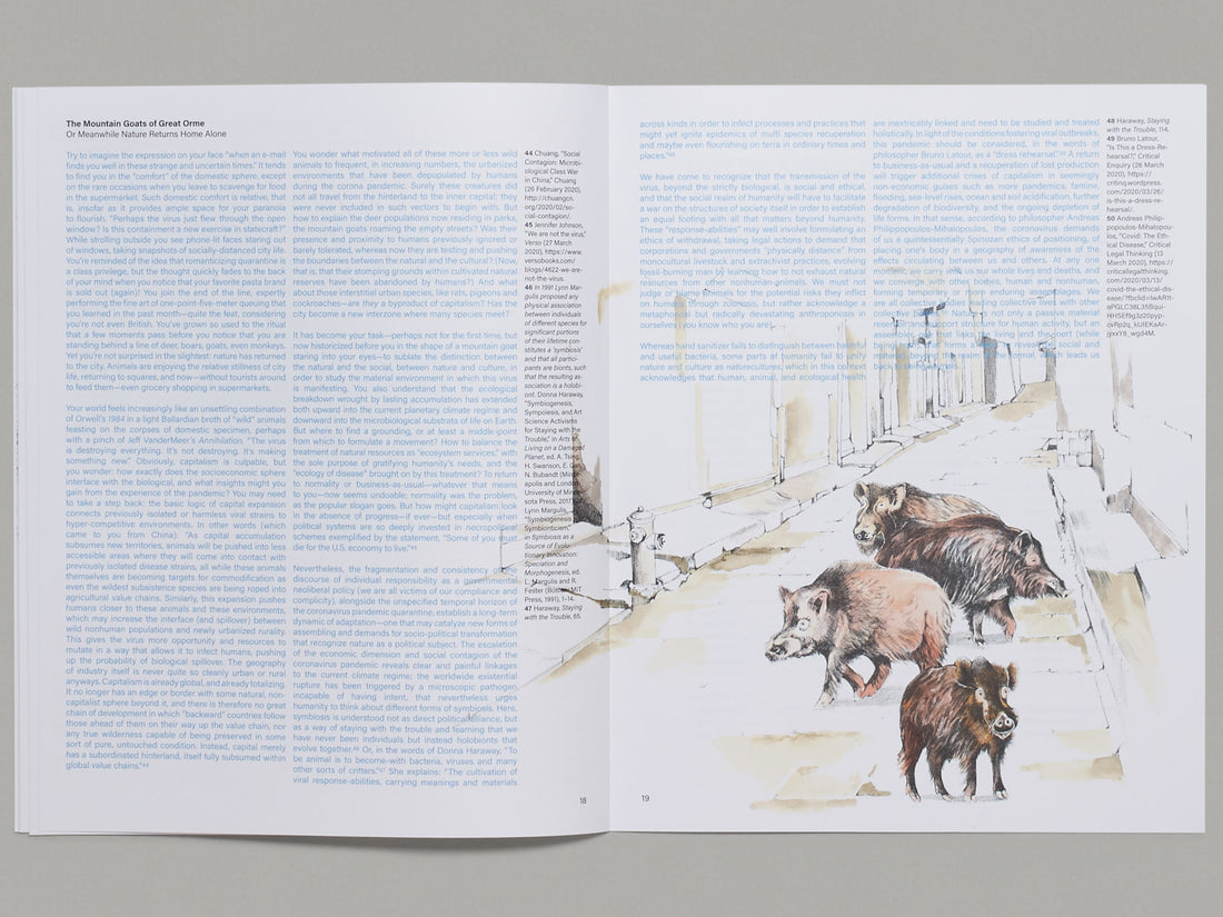 Bestiary of Corona Animals