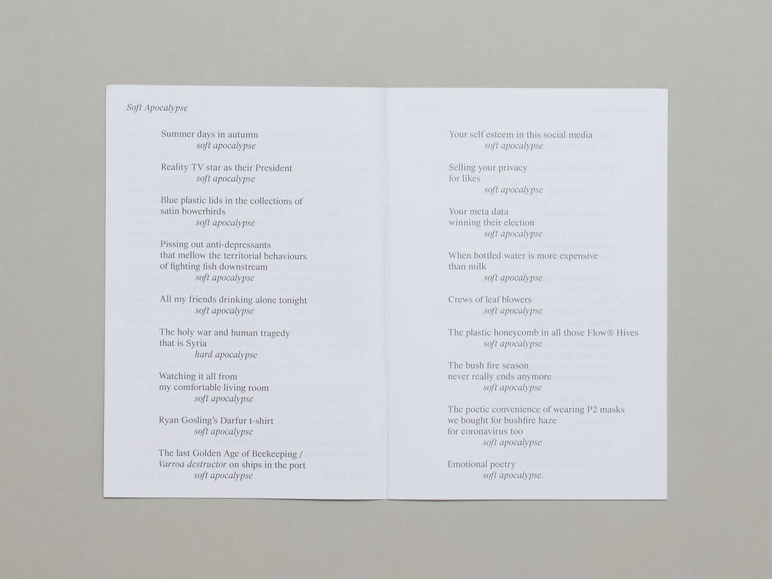 Sparrows in The Supermarket