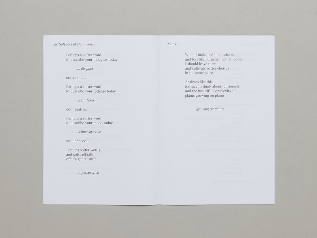 Sparrows in The Supermarket