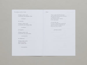 Sparrows in The Supermarket