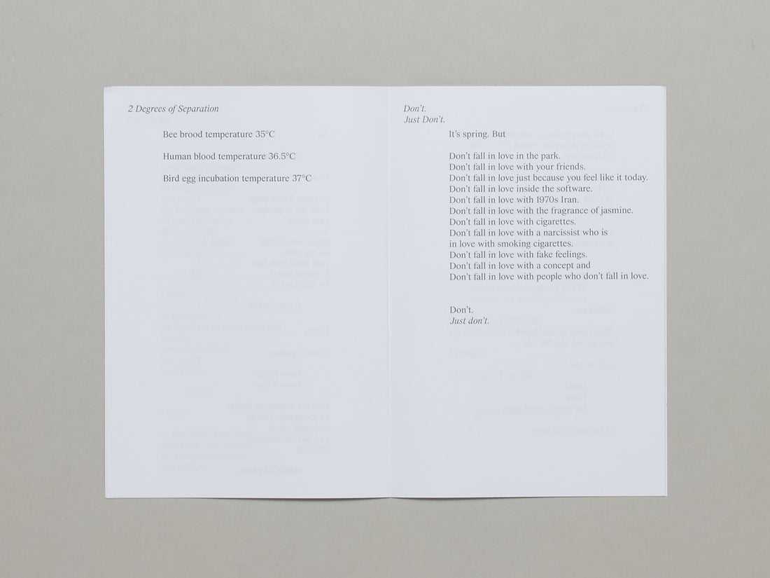 Sparrows in The Supermarket