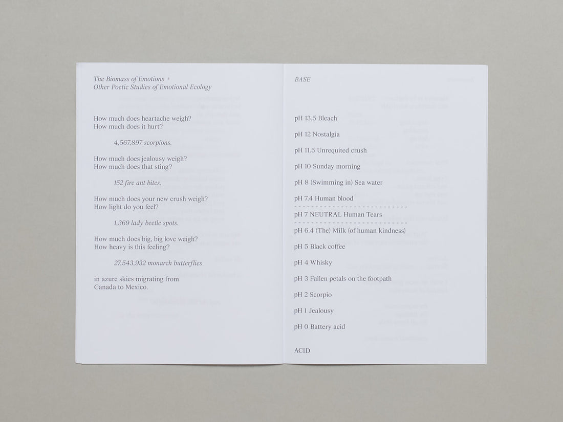 Sparrows in The Supermarket