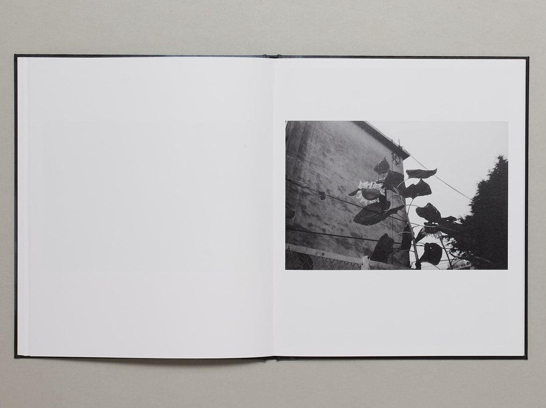 for tomorrow - Antenne Books