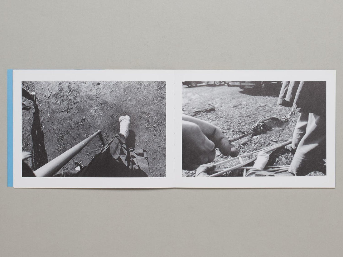 Gips - Antenne Books