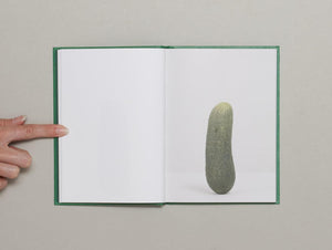 Self-Portrait as 47 Pickles - Antenne Books