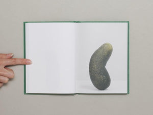 Self-Portrait as 47 Pickles - Antenne Books