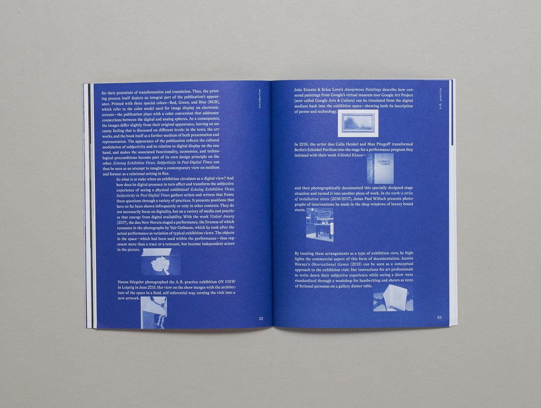 Echoing Exhibition Views: Subjectivity in Post-Digital Times - Antenne Books
