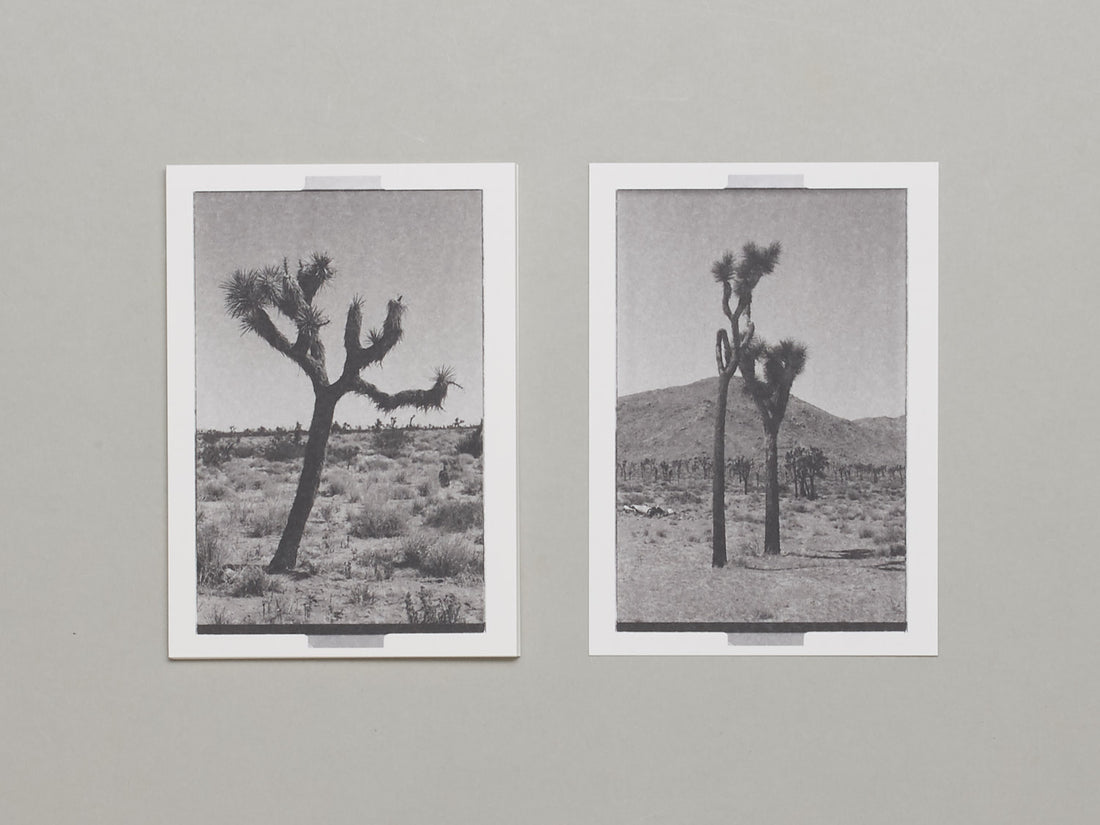 Postcards from the Past