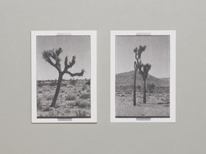 Postcards from the Past