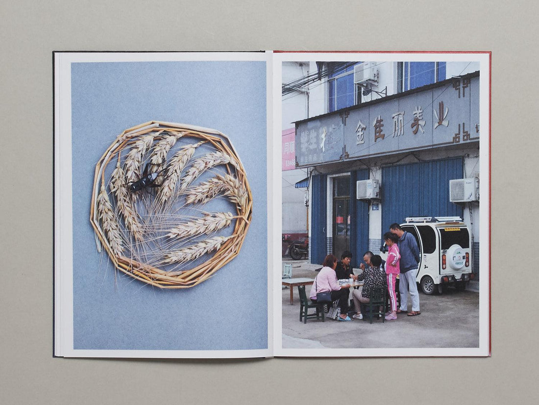 Crickets - Antenne Books