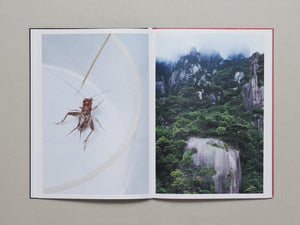 Crickets - Antenne Books