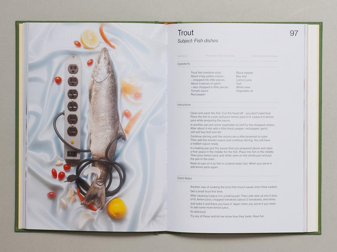 The Leaked Recipes Cookbook - Antenne Books
