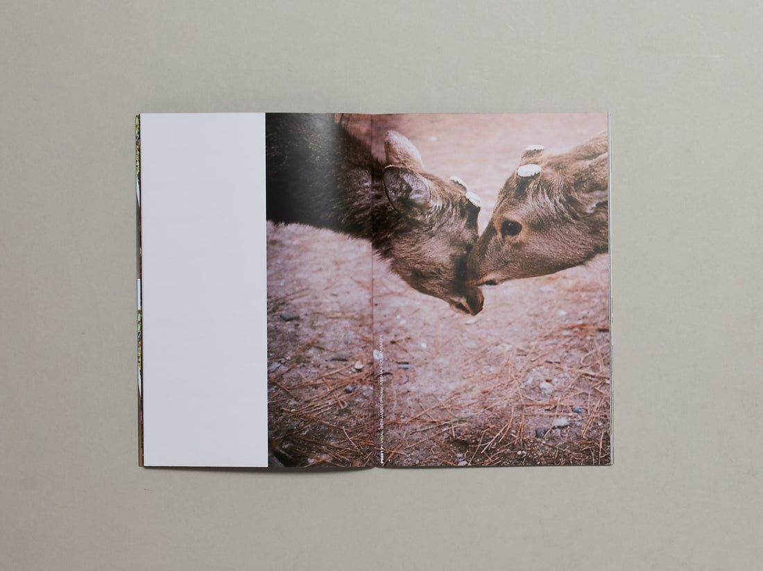 Positive Messages No.1