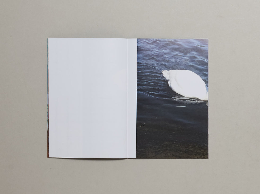 Positive Messages No.1