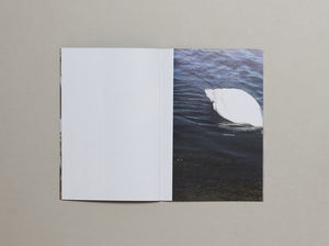 Positive Messages No.1