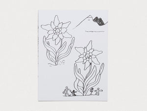 Max, Maria, Andi & Co. - Antenne Books