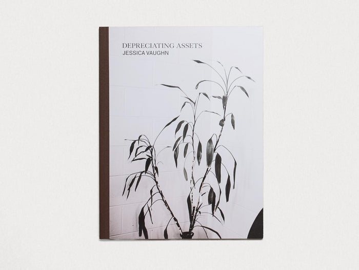 Depreciating Assets - Antenne Books