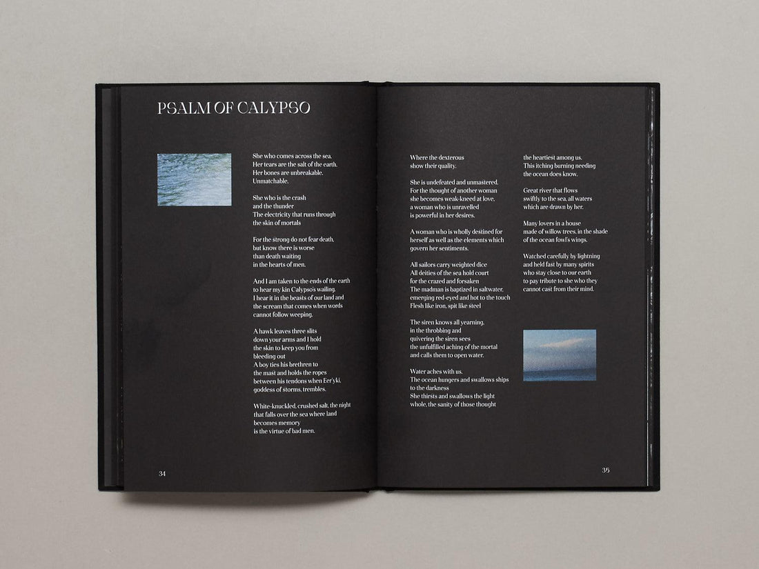 Hunters Follow Harpy Shadows - Antenne Books