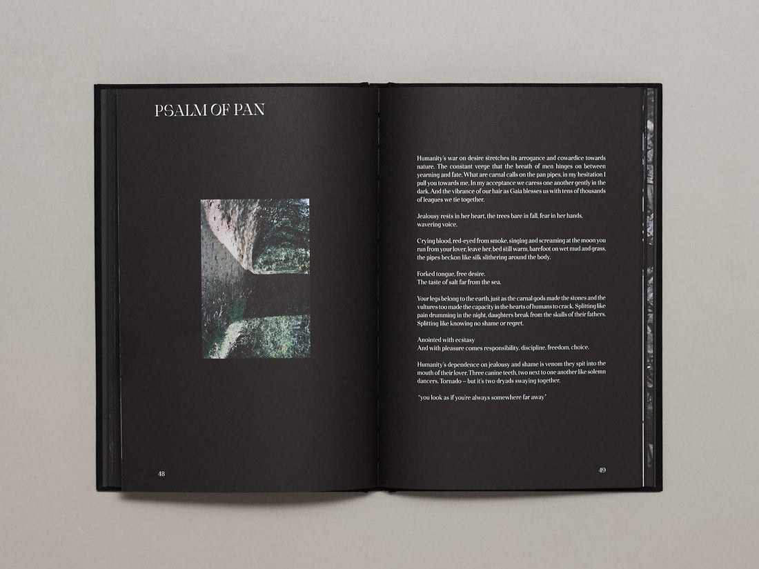 Hunters Follow Harpy Shadows - Antenne Books