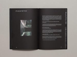 Hunters Follow Harpy Shadows - Antenne Books