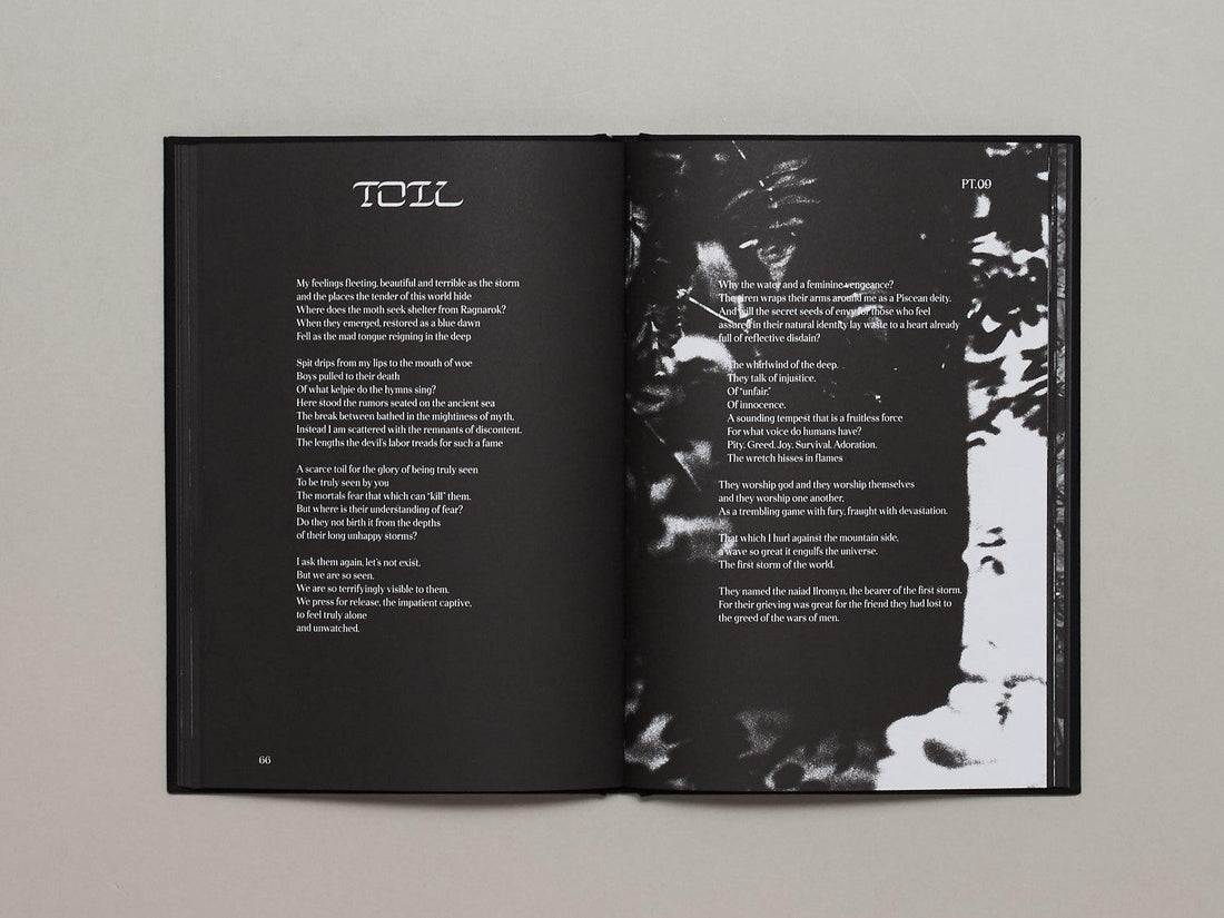 Hunters Follow Harpy Shadows - Antenne Books